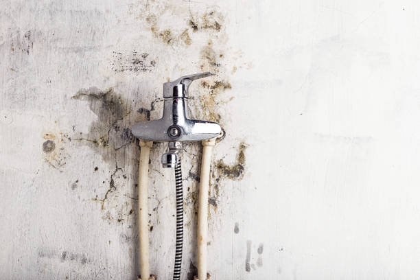 Lake Of The Woods, VA Mold Remediation Company