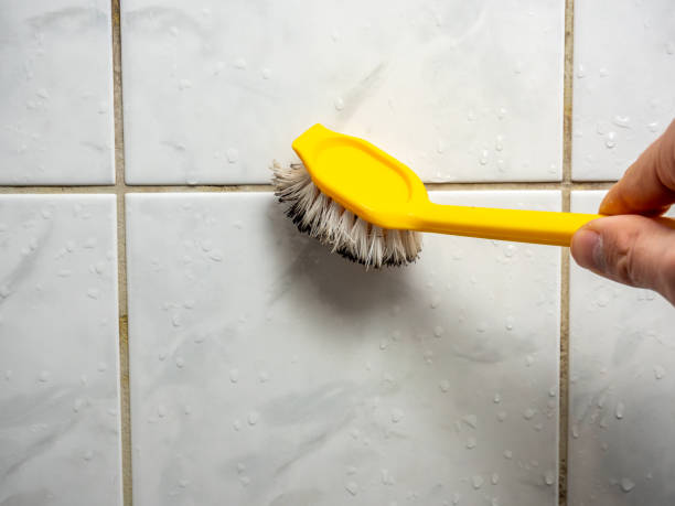 Best Localized Mold Remediation (e.g., coastal areas, humid climates) in Lake Of The Woods, VA