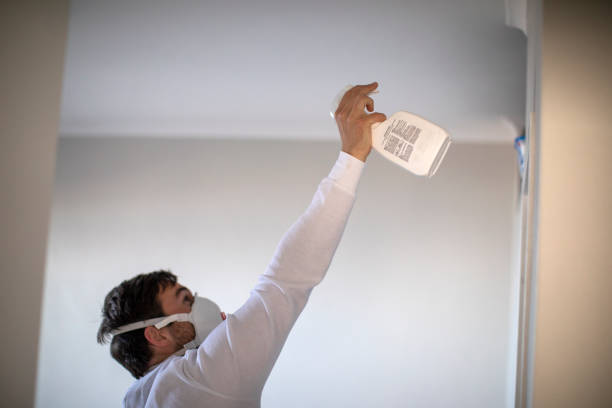 Best Mold Testing and Inspection Services in Lake Of The Woods, VA