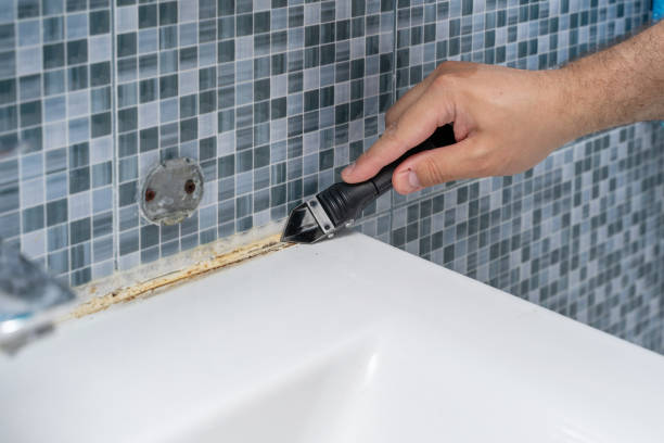 Best DIY Mold Remediation Support Services in Lake Of The Woods, VA