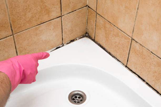 Best Health and Safety Mold Remediation in Lake Of The Woods, VA